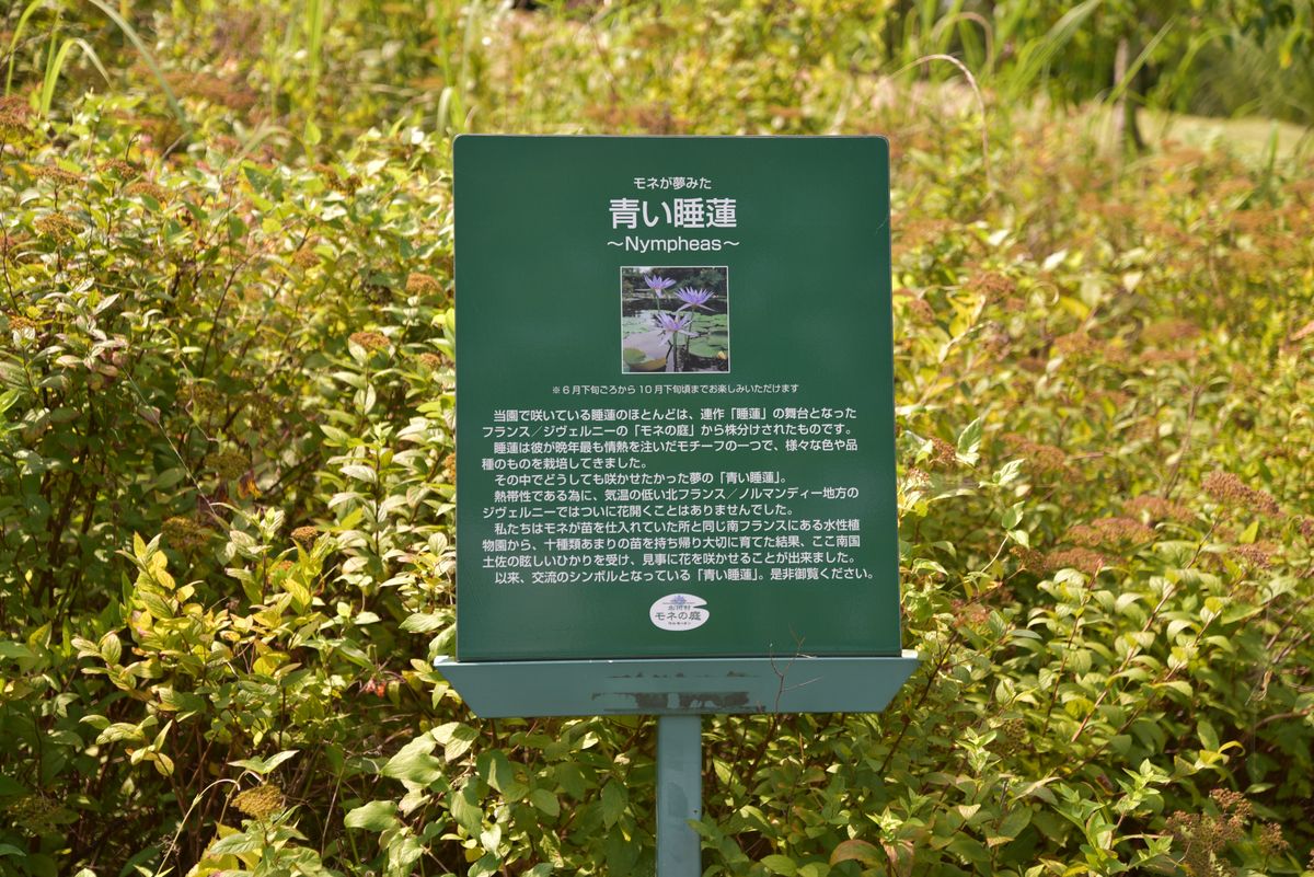 北川村モネの庭 水の庭